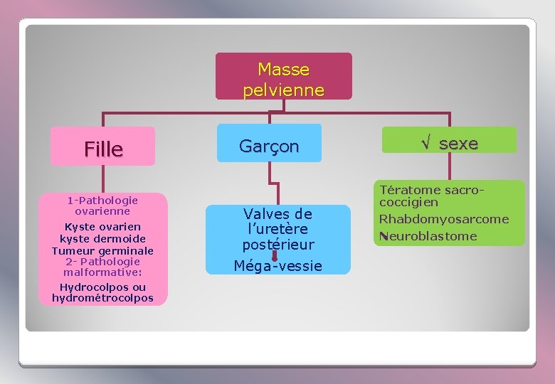 Masses Abdominopelviennes Chez Lenfant Introduction Diagnostic Positif Plan
