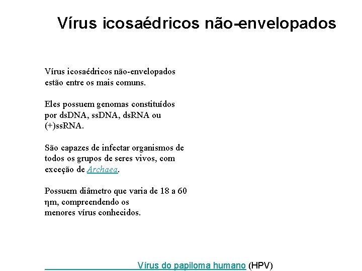 Vírus icosaédricos não-envelopados estão entre os mais comuns. Eles possuem genomas constituídos por ds.