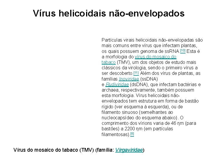 Vírus helicoidais não-envelopados Partículas virais helicoidais não-envelopadas são mais comuns entre vírus que infectam