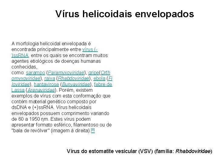 Vírus helicoidais envelopados A morfologia helicoidal envelopada é encontrada principalmente entre vírus ()ss. RNA,