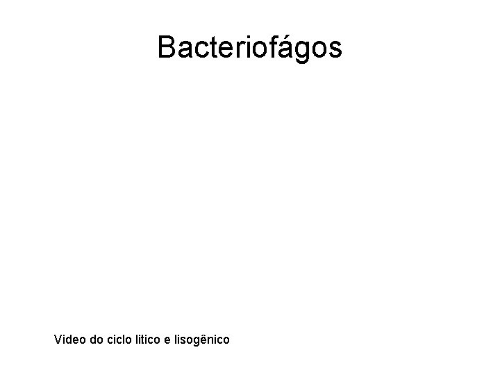 Bacteriofágos Video do ciclo litico e lisogênico 