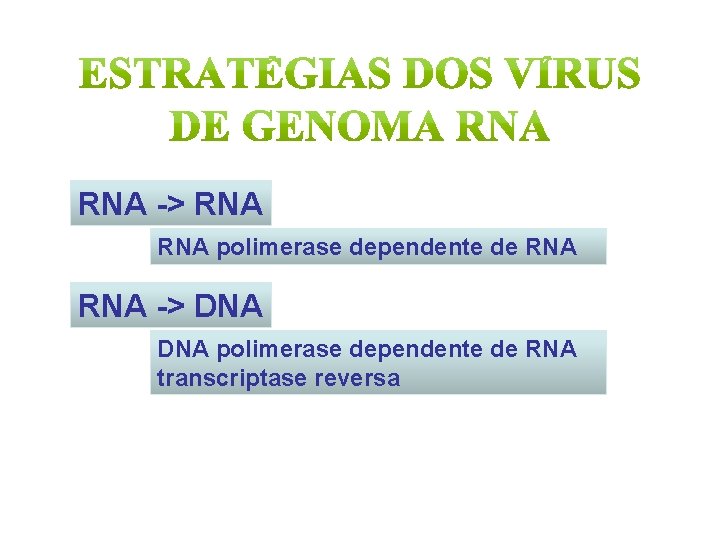 RNA -> RNA polimerase dependente de RNA -> DNA polimerase dependente de RNA transcriptase