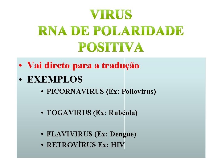  • Vai direto para a tradução • EXEMPLOS • PICORNAVIRUS (Ex: Poliovírus) •