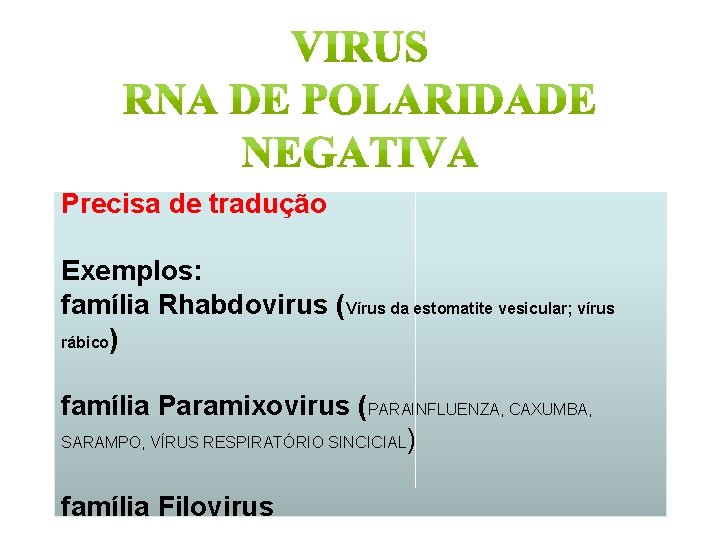 Precisa de tradução Exemplos: família Rhabdovirus (Vírus da estomatite vesicular; vírus rábico) família Paramixovirus