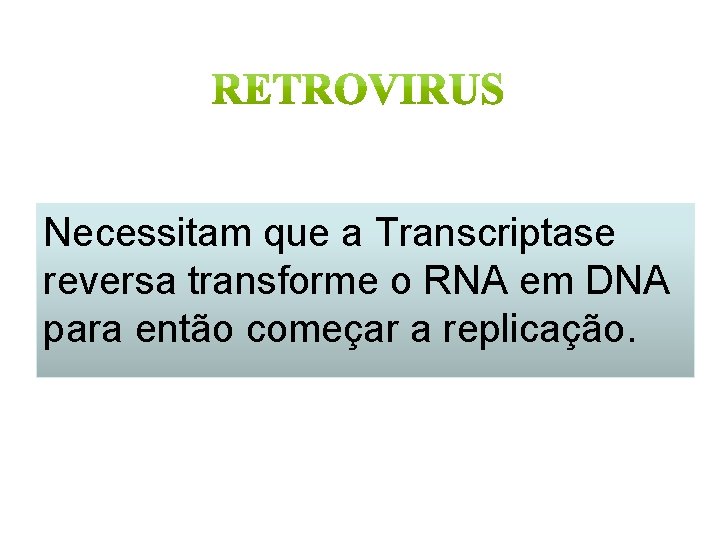 Necessitam que a Transcriptase reversa transforme o RNA em DNA para então começar a