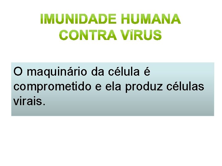 O maquinário da célula é comprometido e ela produz células virais. 