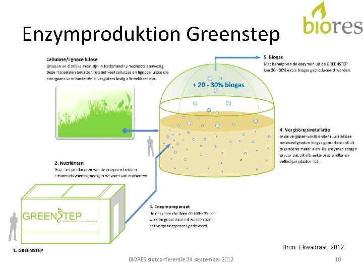 Enzymproduktion Greenstep Bron: Ekwadraat, 2012 BIORES slotconferentie 24 september 2012 10 