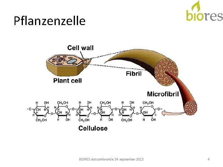 Pflanzenzelle BIORES slotconferentie 24 september 2012 4 