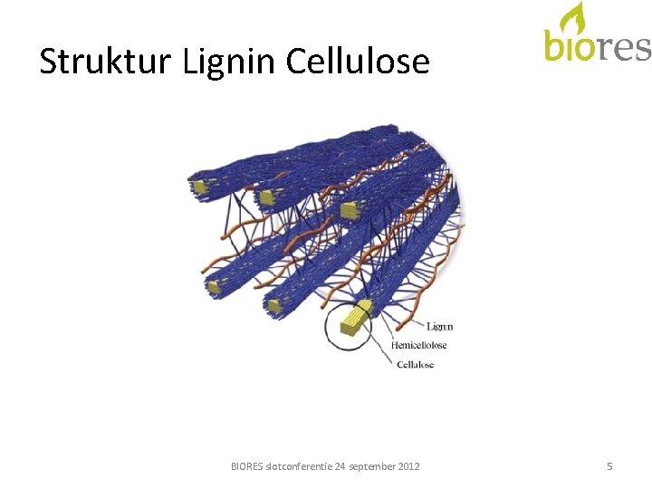 Struktur Lignin Cellulose BIORES slotconferentie 24 september 2012 5 
