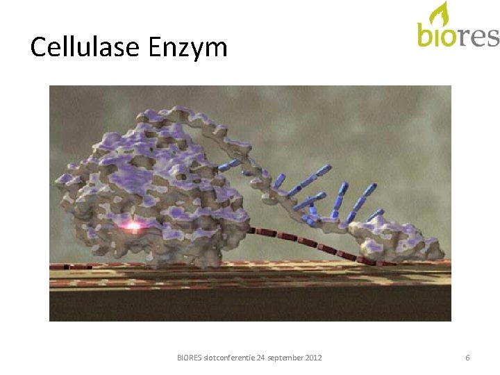 Cellulase Enzym BIORES slotconferentie 24 september 2012 6 