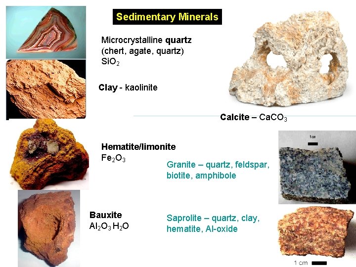 Sedimentary Minerals Microcrystalline quartz (chert, agate, quartz) Si. O 2 Clay - kaolinite Calcite