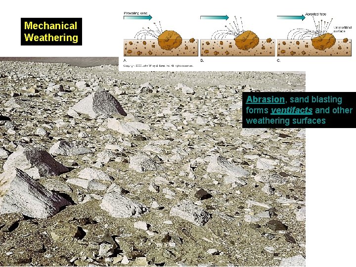 Mechanical Weathering Abrasion, sand blasting forms ventifacts and other weathering surfaces 