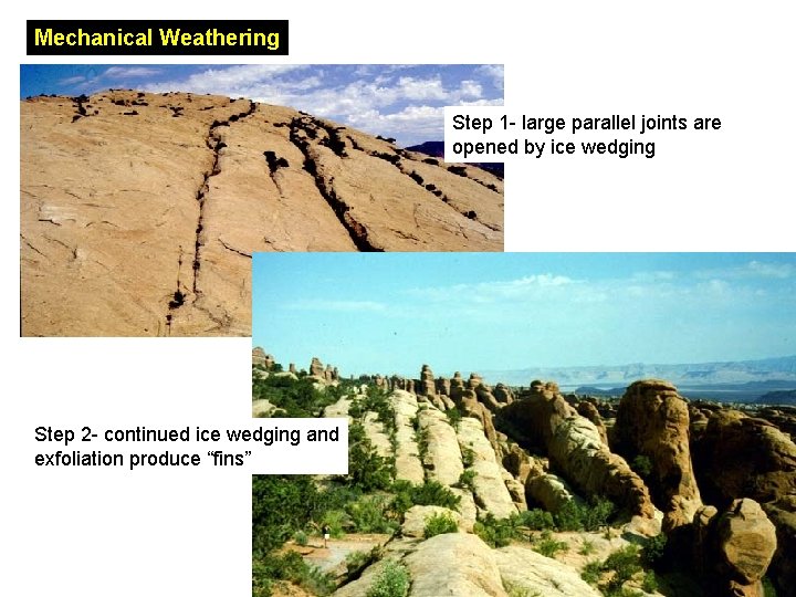 Mechanical Weathering Step 1 - large parallel joints are opened by ice wedging Step