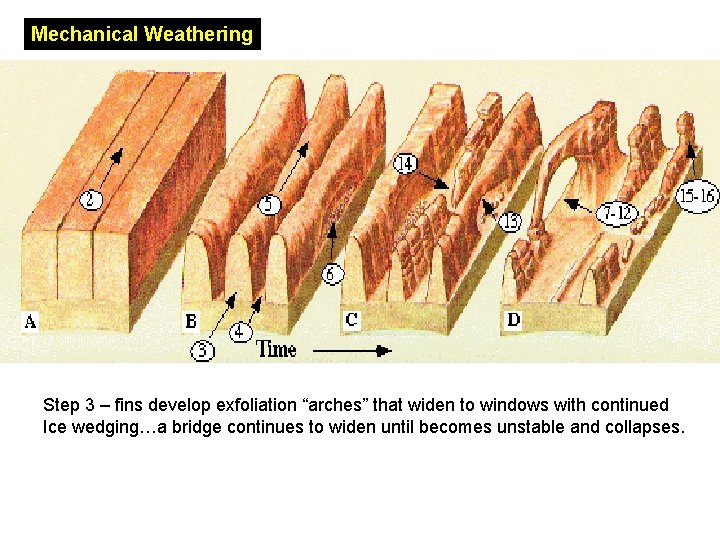 Mechanical Weathering Step 3 – fins develop exfoliation “arches” that widen to windows with