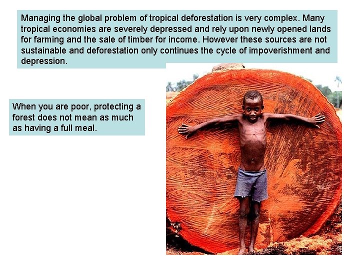 Managing the global problem of tropical deforestation is very complex. Many tropical economies are