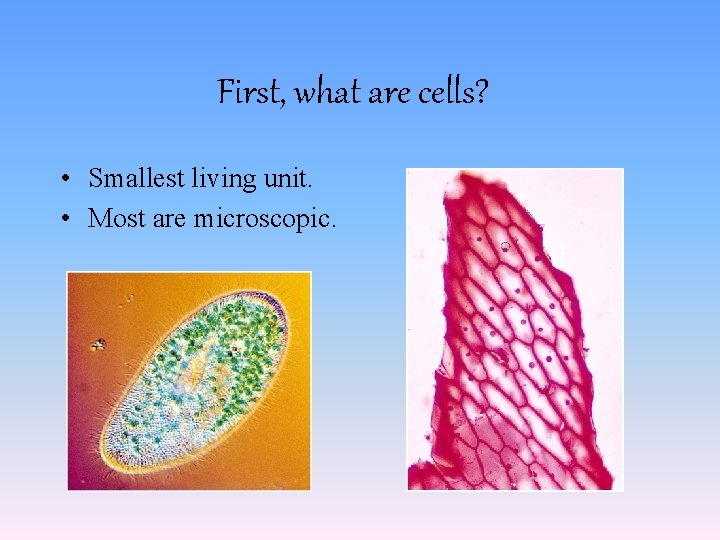 First, what are cells? • Smallest living unit. • Most are microscopic. 