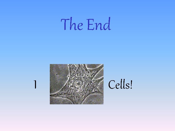 The End I Cells! 