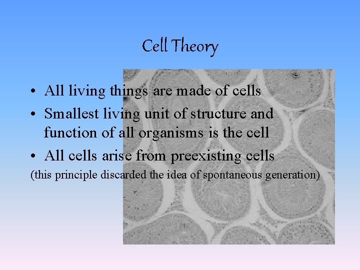 Cell Theory • All living things are made of cells • Smallest living unit