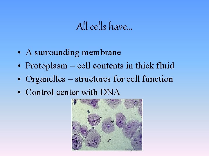 All cells have… • • A surrounding membrane Protoplasm – cell contents in thick