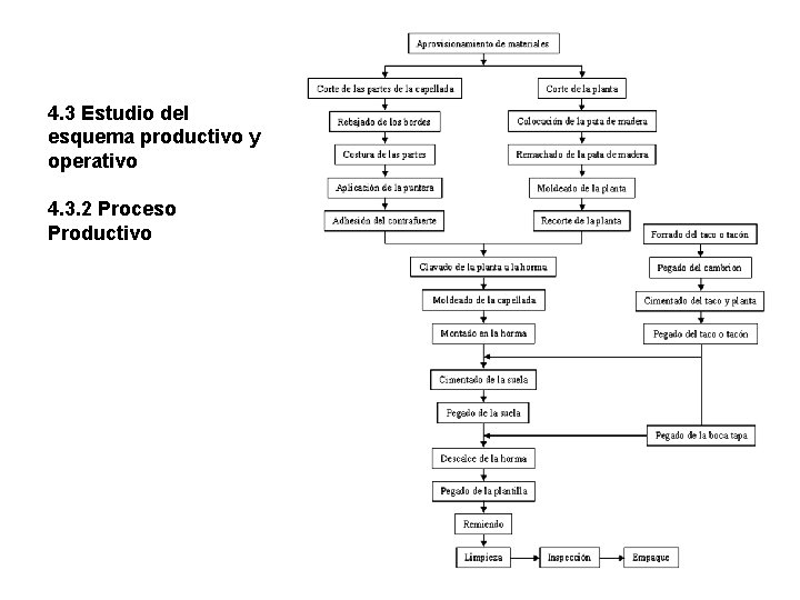 4. 3 Estudio del esquema productivo y operativo 4. 3. 2 Proceso Productivo 