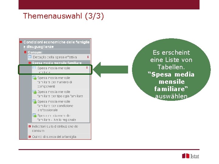 Themenauswahl (3/3) Es erscheint eine Liste von Tabellen. “Spesa media mensile familiare“ auswählen 