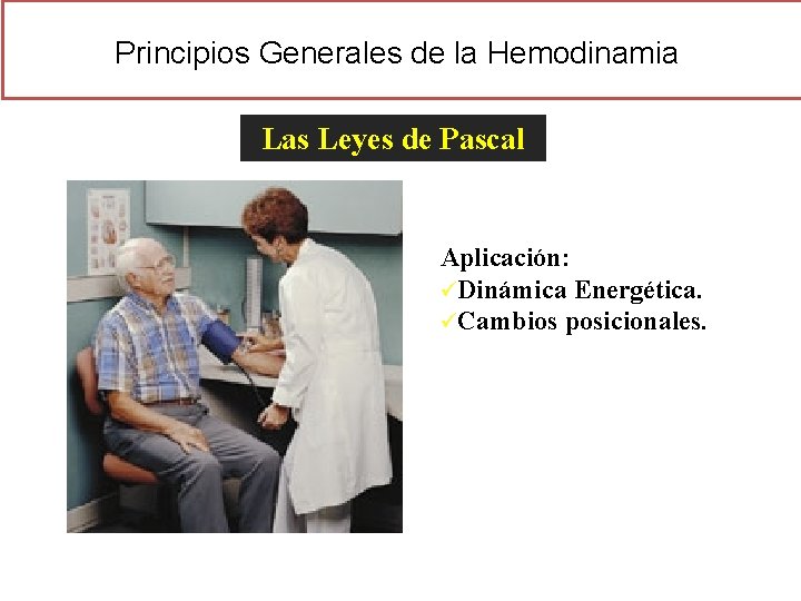 Anatomía Fisiológica de los Vasos Sanguíneos Fisiología Vascular Principios Generales de la Hemodinamia Las Anatomía Fisiológica de los Vasos Sanguíneos Fisiología Vascular Principios Generales de la Hemodinamia Las