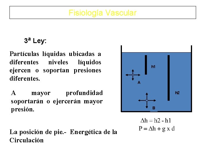 Fisiología Vascular 3 a Ley: Partículas líquidas ubicadas a diferentes niveles líquidos ejercen o Fisiología Vascular 3 a Ley: Partículas líquidas ubicadas a diferentes niveles líquidos ejercen o