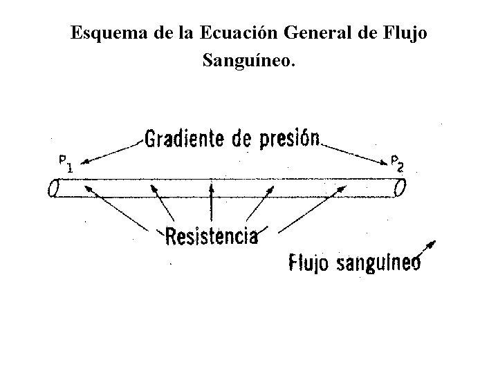 Esquema de la Ecuación General de Flujo Sanguíneo. Esquema de la Ecuación General de Flujo Sanguíneo.