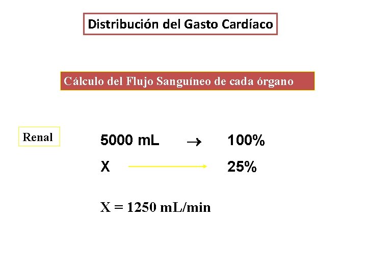 Distribución del Gasto Cardíaco Cálculo del Flujo Sanguíneo de cada órgano Renal 5000 m. Distribución del Gasto Cardíaco Cálculo del Flujo Sanguíneo de cada órgano Renal 5000 m.