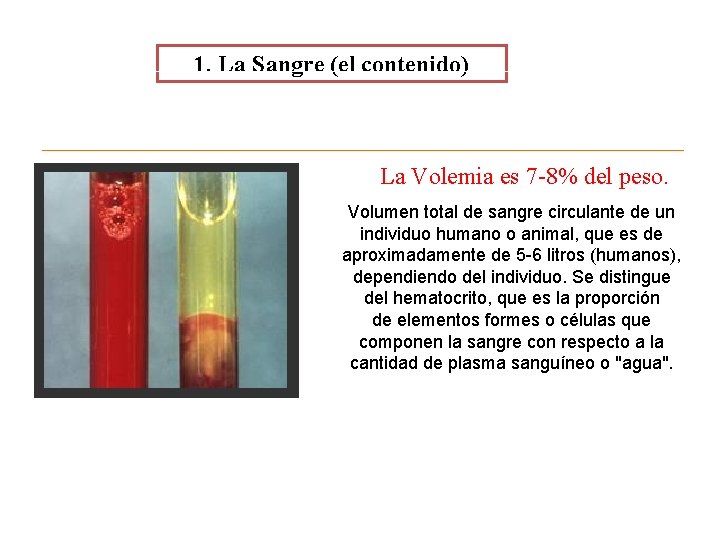 1. La Sangre (el contenido) Agua La Volemia es 7 -8% del peso. Células 1. La Sangre (el contenido) Agua La Volemia es 7 -8% del peso. Células