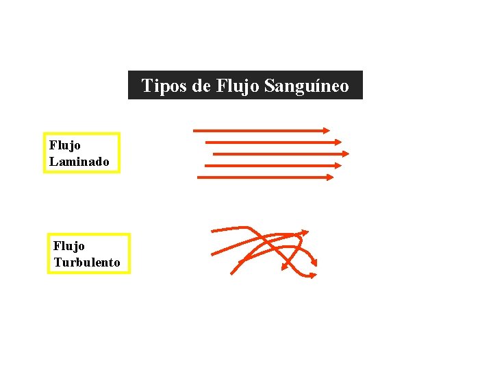 Fisiología Vascular Tipos de Flujo Sanguíneo Flujo Laminado Flujo Turbulento Fisiología Vascular Tipos de Flujo Sanguíneo Flujo Laminado Flujo Turbulento