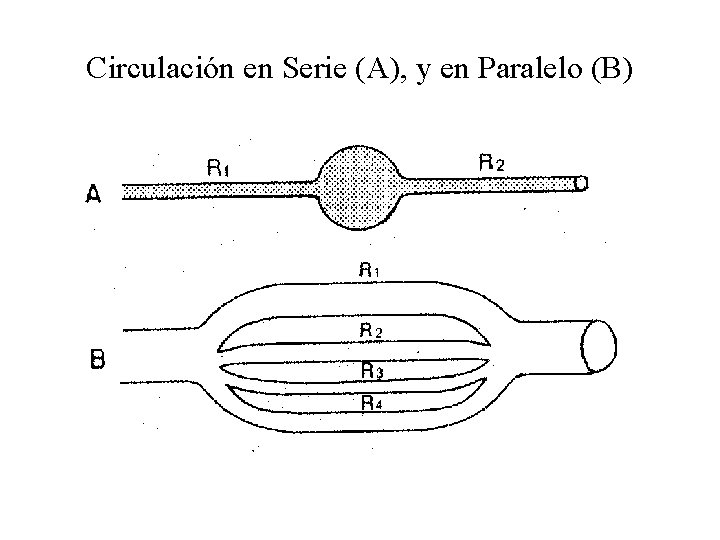 Circulación en Serie (A), y en Paralelo (B) Circulación en Serie (A), y en Paralelo (B)