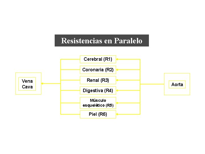 Resistencias en Paralelo Cerebral (R 1) Coronaria (R 2) Vena Cava Renal (R 3) Resistencias en Paralelo Cerebral (R 1) Coronaria (R 2) Vena Cava Renal (R 3)