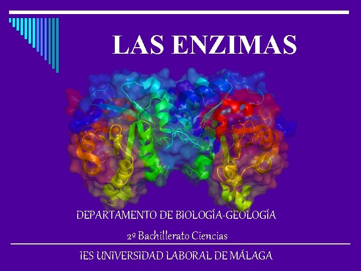 LAS ENZIMAS DEPARTAMENTO DE BIOLOGÍA-GEOLOGÍA 2º Bachillerato Ciencias IES UNIVERSIDAD LABORAL DE MÁLAGA 