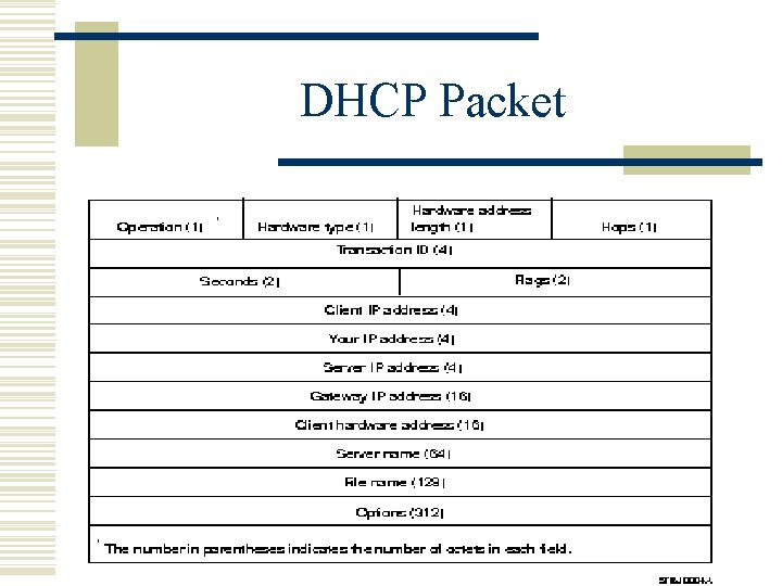 DHCP Packet 