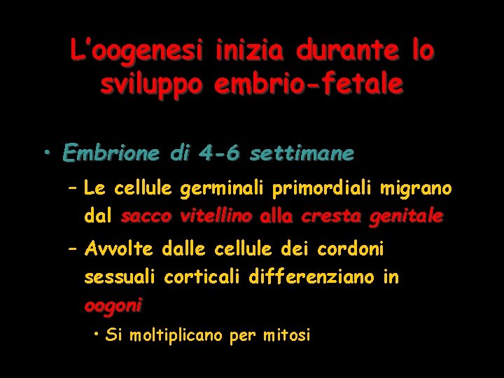 L’oogenesi inizia durante lo sviluppo embrio-fetale • Embrione di 4 -6 settimane – Le