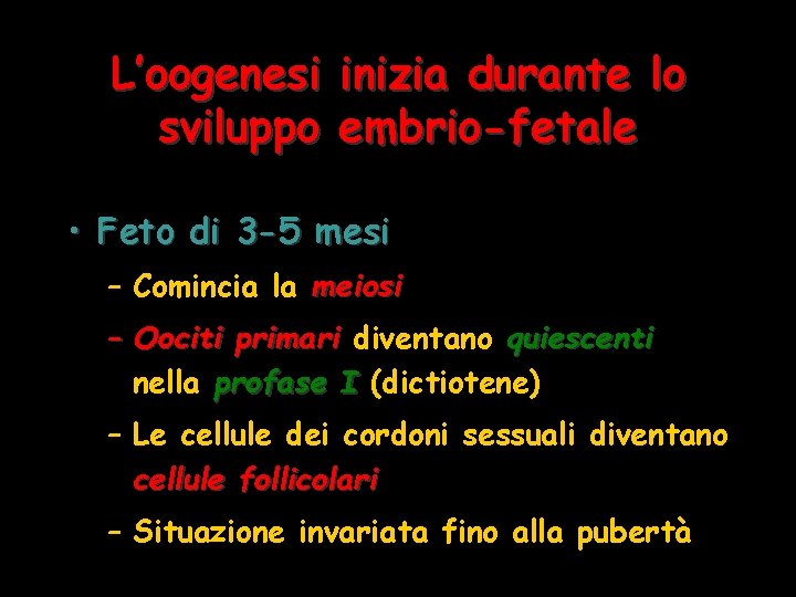 L’oogenesi sviluppo inizia durante lo embrio-fetale • Feto di 3 -5 mesi – Comincia