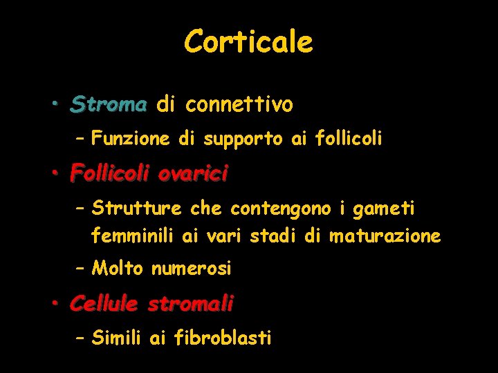 Corticale • Stroma di connettivo – Funzione di supporto ai follicoli • Follicoli ovarici