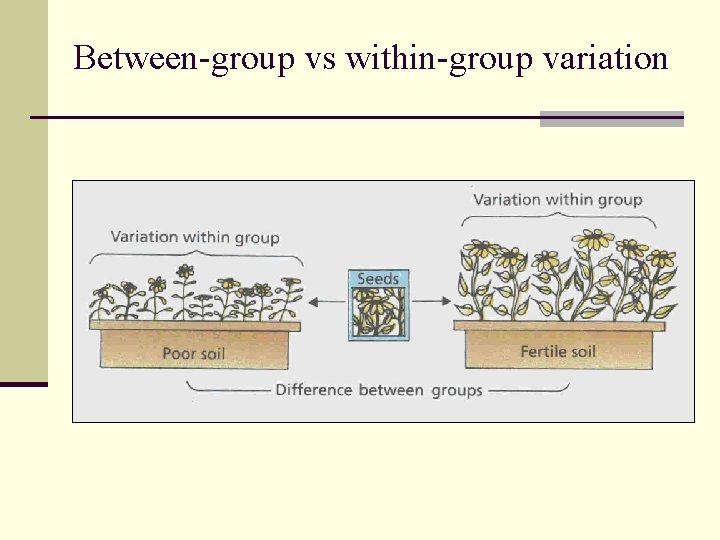 Between-group vs within-group variation 