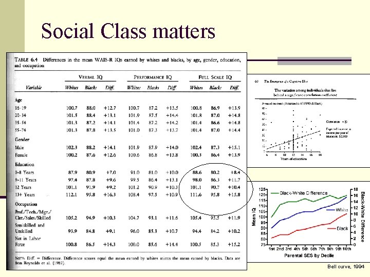Social Class matters Bell curve, 1994 