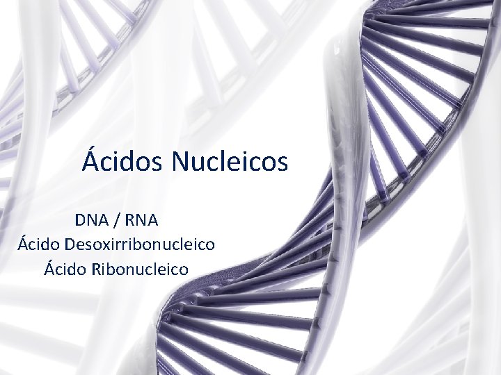 Ácidos Nucleicos DNA / RNA Ácido Desoxirribonucleico Ácido Ribonucleico 