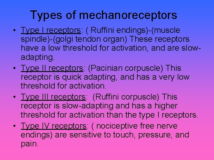 Types of mechanoreceptors • Type I receptors: ( Ruffini endings)-(muscle spindle)-(golgi tendon organ) These
