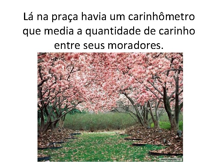 Lá na praça havia um carinhômetro que media a quantidade de carinho entre seus