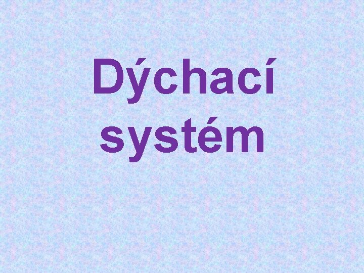 Dýchací systém 