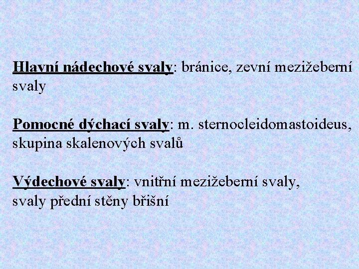 Hlavní nádechové svaly: bránice, zevní mezižeberní svaly Pomocné dýchací svaly: m. sternocleidomastoideus, skupina skalenových