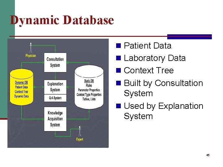 Dynamic Database n Patient Data n Laboratory Data n Context Tree n Built by