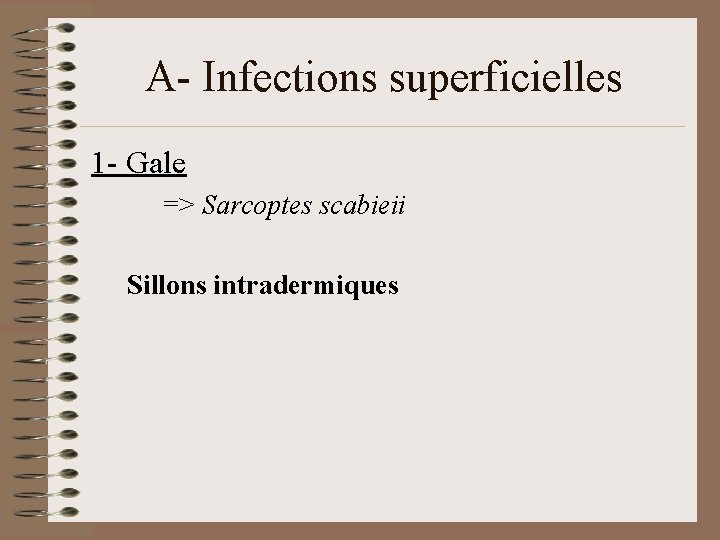 A- Infections superficielles 1 - Gale => Sarcoptes scabieii Sillons intradermiques 
