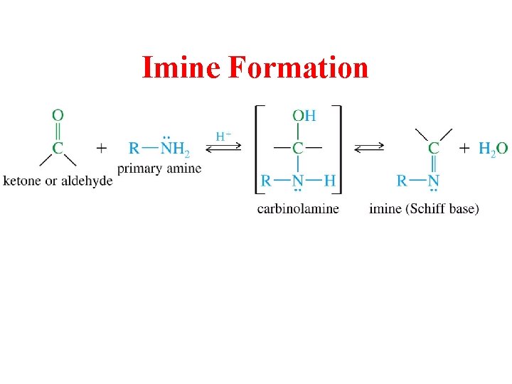 Imine Formation Imine Formation