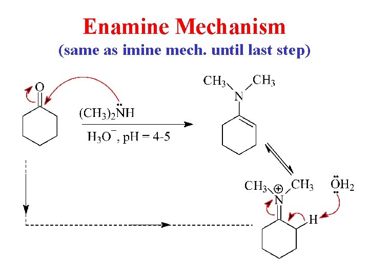 Enamine Mechanism (same as imine mech. until last step) Enamine Mechanism (same as imine mech. until last step)