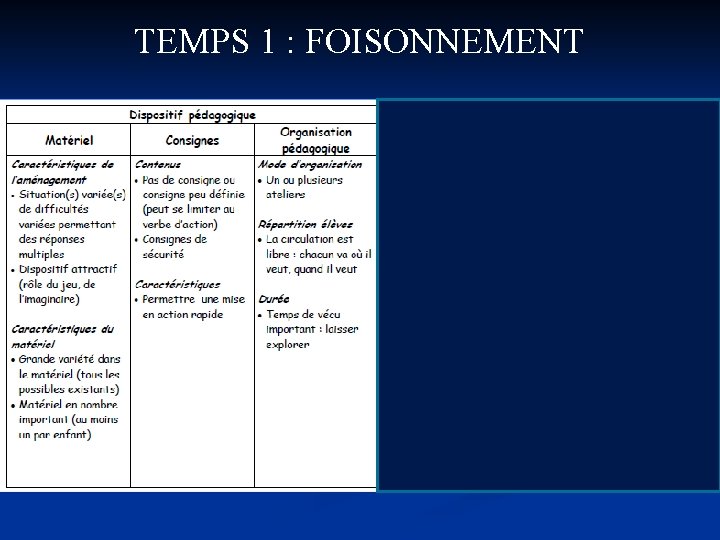 TEMPS 1 : FOISONNEMENT 